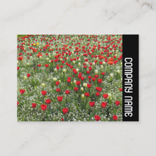 Side Band - Bett aus Tulpen Visitenkarte