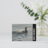 Side Band - Cormorant Learning to Swim Visitenkarte (Stehend Vorderseite)