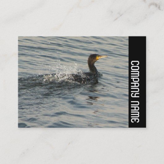 Side Band - Cormorant Learning to Swim Visitenkarte (Vorderseite)