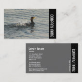 Side Band - Cormorant Learning to Swim Visitenkarte (Vorne/Hinten)