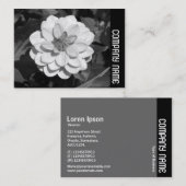 Side Band - Dahlia 'David Howard' Visitenkarte (Vorne/Hinten)