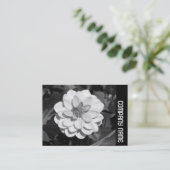 Side Band - Dahlia 'David Howard' Visitenkarte (Stehend Vorderseite)