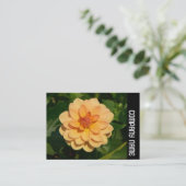 Side Band - Dahlia 'David Howard' Visitenkarte (Stehend Vorderseite)