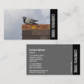 Side Band - Gute Morgentaube Visitenkarte (Vorne/Hinten)