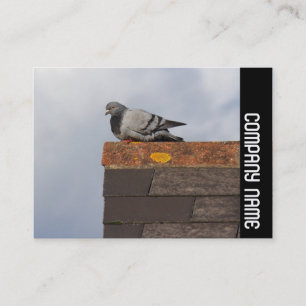 Side Band - Gute Morgentaube Visitenkarte