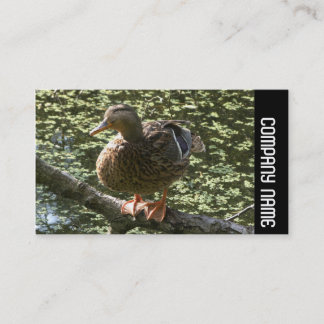 Side Band - Happy Duck Visitenkarte
