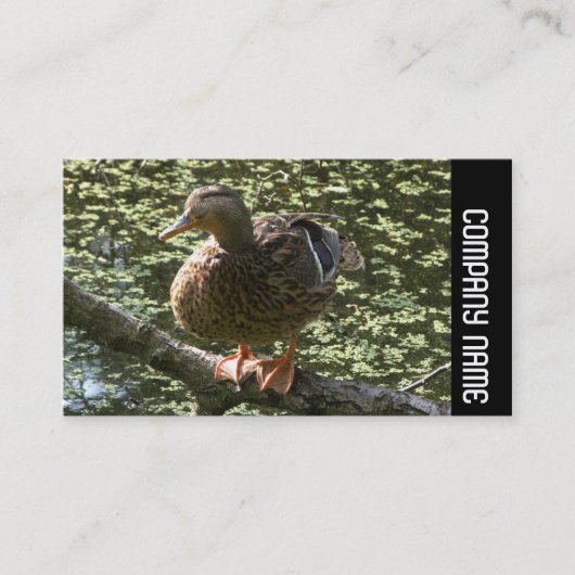 Side Band - Happy Duck Visitenkarte (Vorderseite)