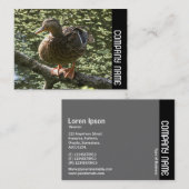 Side Band - Happy Duck Visitenkarte (Vorne/Hinten)