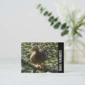 Side Band - Happy Duck Visitenkarte (Stehend Vorderseite)