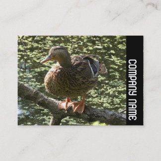 Side Band - Happy Duck Visitenkarte