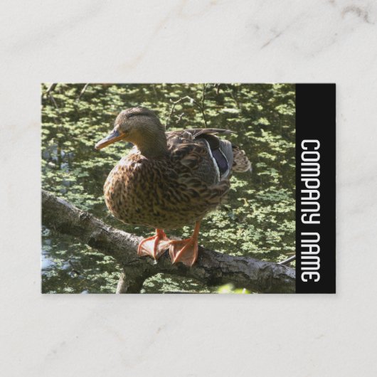 Side Band - Happy Duck Visitenkarte (Vorderseite)