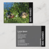 Side Band - Herr und Frau Mallard Visitenkarte (Vorne/Hinten)