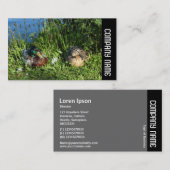 Side Band - Herr und Frau Mallard Visitenkarte (Vorne/Hinten)