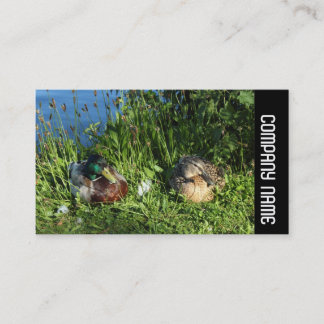 Side Band - Herr und Frau Mallard Visitenkarte