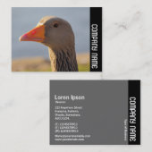 Side Band - Inquisitive Gans Visitenkarte (Vorne/Hinten)