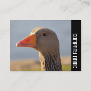 Side Band - Inquisitive Gans Visitenkarte