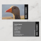 Side Band - Inquisitives Grauschlack Visitenkarte (Vorne/Hinten)