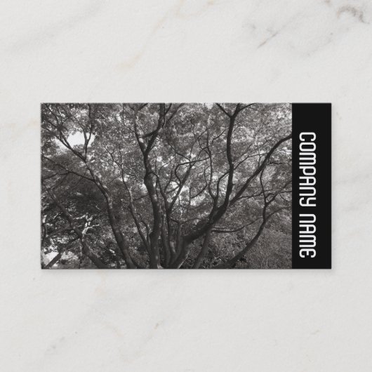 Side Band - Japanische Zweigstellen 02 Visitenkarte (Vorderseite)