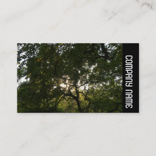 Side Band - Japanische Zweigstellen 04 Visitenkarte (Vorderseite)