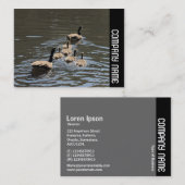 Side Band - Kanada Gänse mit Goslings Visitenkarte (Vorne/Hinten)