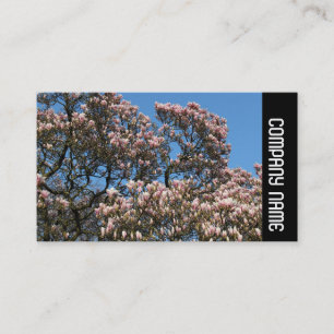 Side Band - Magnolia Tree in Bloom Visitenkarte