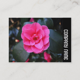 Side Band - Pink Camellia Visitenkarte