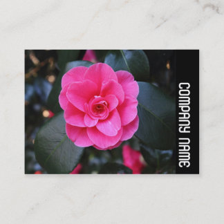 Side Band - Pink Camellia Visitenkarte