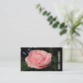 Side Band - Pink Camellia Visitenkarte (Stehend Vorderseite)