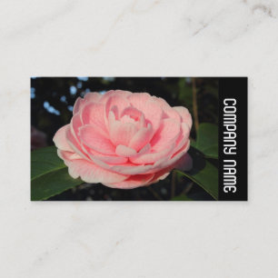 Side Band - Pink Camellia Visitenkarte