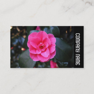 Side Band - Pink Camellia Visitenkarte