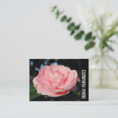 Side Band - Pink Camellia Visitenkarte (Stehend Vorderseite)