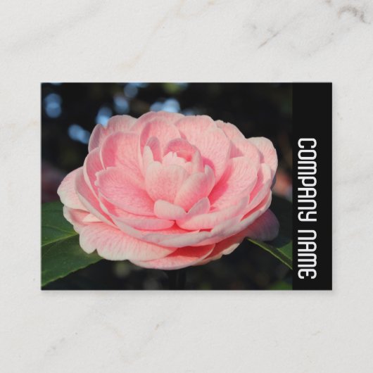 Side Band - Pink Camellia Visitenkarte (Vorderseite)