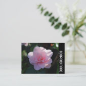 Side Band - Pink Camellia Visitenkarte (Stehend Vorderseite)