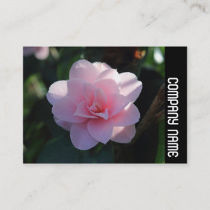Side Band - Pink Camellia Visitenkarte