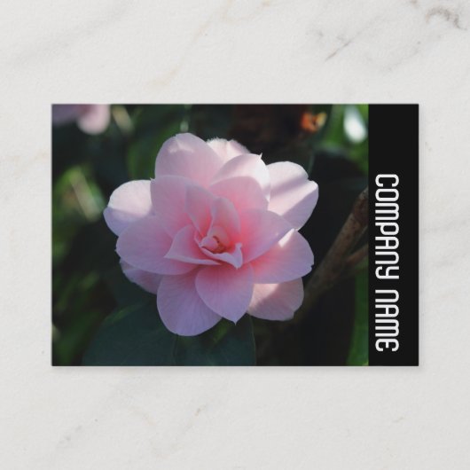 Side Band - Pink Camellia Visitenkarte (Vorderseite)