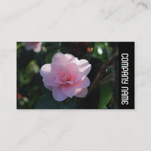 Side Band - Pink Camellia Visitenkarte