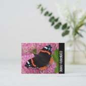 Side Band - Red Admiral auf Sedum (Herbstfreude) Visitenkarte (Stehend Vorderseite)