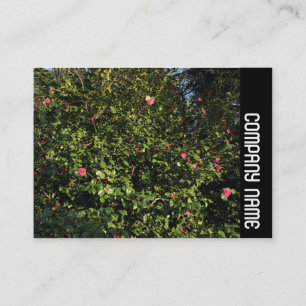 Side Band - Red Camellia Bush Visitenkarte