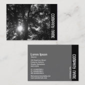 Side Band - Sun Through Trees B&W Visitenkarte (Vorne/Hinten)