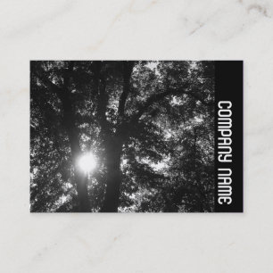 Side Band - Sun Through Trees B&W Visitenkarte