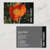 Side Band - Welsh Poppy (Orange) Visitenkarte (Vorne/Hinten)