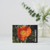 Side Band - Welsh Poppy (Orange) Visitenkarte (Stehend Vorderseite)