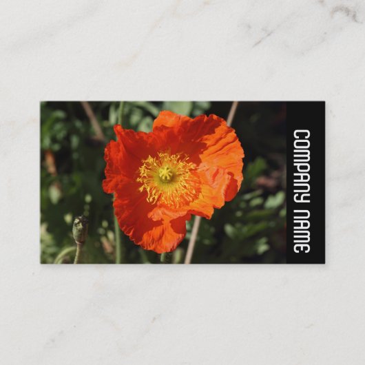 Side Band - Welsh Poppy (Orange) Visitenkarte (Vorderseite)