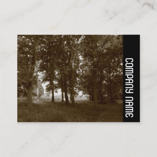 Side Band - Woods, Bute Park Cardiff - Sepia toned Visitenkarte (Vorderseite)