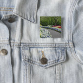 Sidewalk durch Tulpen und Daffodien, Button (Beispiel)