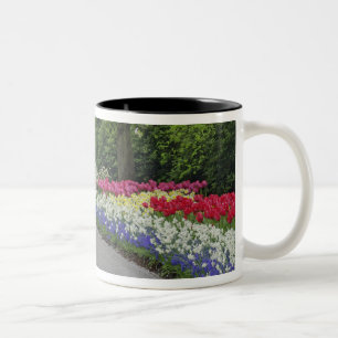 Sidewalk durch Tulpen und Daffodien, Zweifarbige Tasse