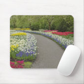 Sidewalk durch Tulpen und daffodils, 2 Mousepad (Mit Mouse)