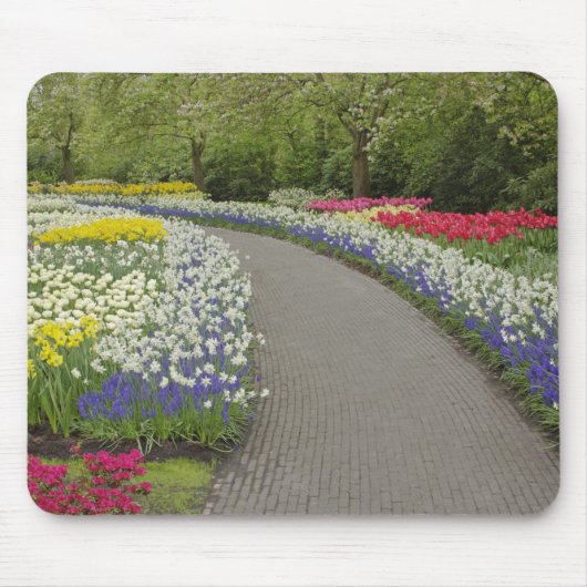 Sidewalk durch Tulpen und daffodils, 2 Mousepad (Vorne)