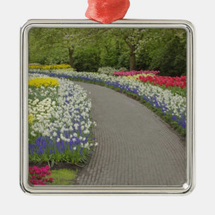 Sidewalk durch Tulpen und daffodils, 2 Silbernes Ornament