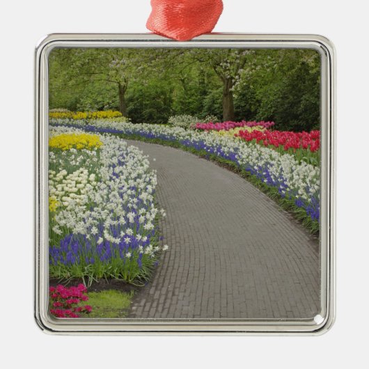 Sidewalk durch Tulpen und daffodils, 2 Silbernes Ornament (Vorne)